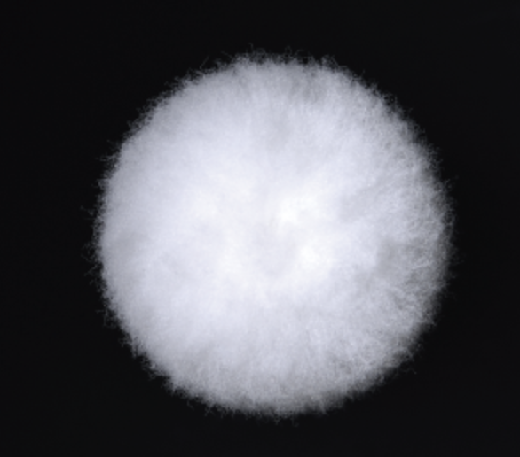 タフローラー　中毛 ｽﾓｰﾙ 6S-TO 6"