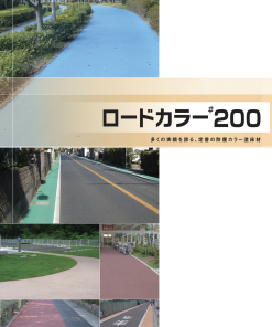 ロードカラー＃200