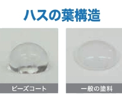 Alternative view of ビーズコート基礎用S 20KG #<超撥水><ラジカル制御形> 基礎巾木用 水性アクリルシリコン樹脂系つや消し塗材(セラミック配合細骨タイプ)