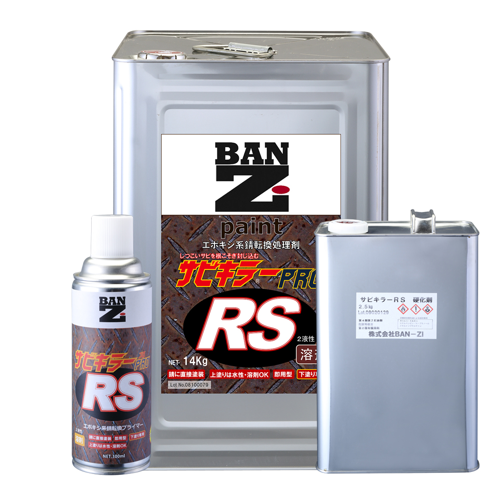 ランキング2022 BAN-ZI サビキラーＰＲＯ RS 300ml