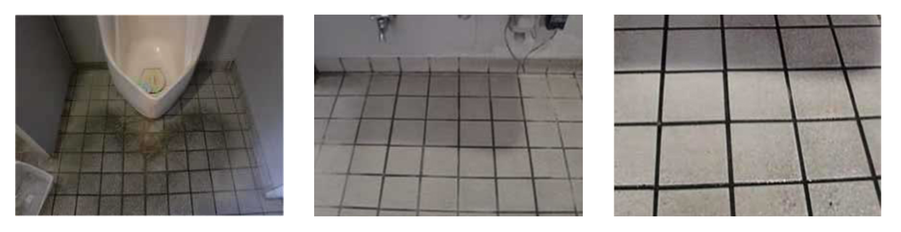 尿石取り洗浄剤S6