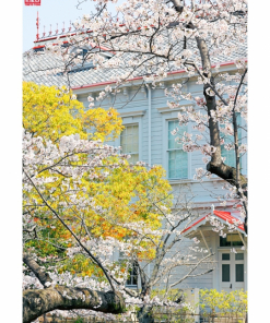 アレスシックイモンティアート 600×900 非防炎タイプ ツダセイジ