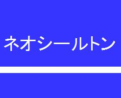 ネオシールトン 12KG #特殊シラン系 浸透性吸水防止材 #2022年12月廃番 #スズカファイン