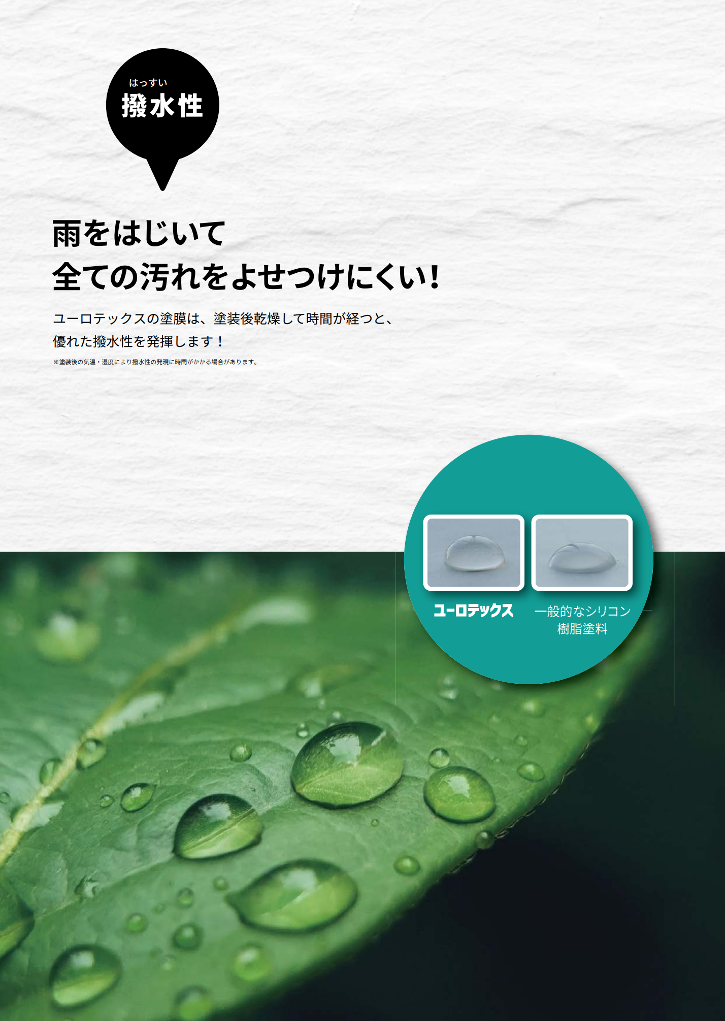 ユーロテックス