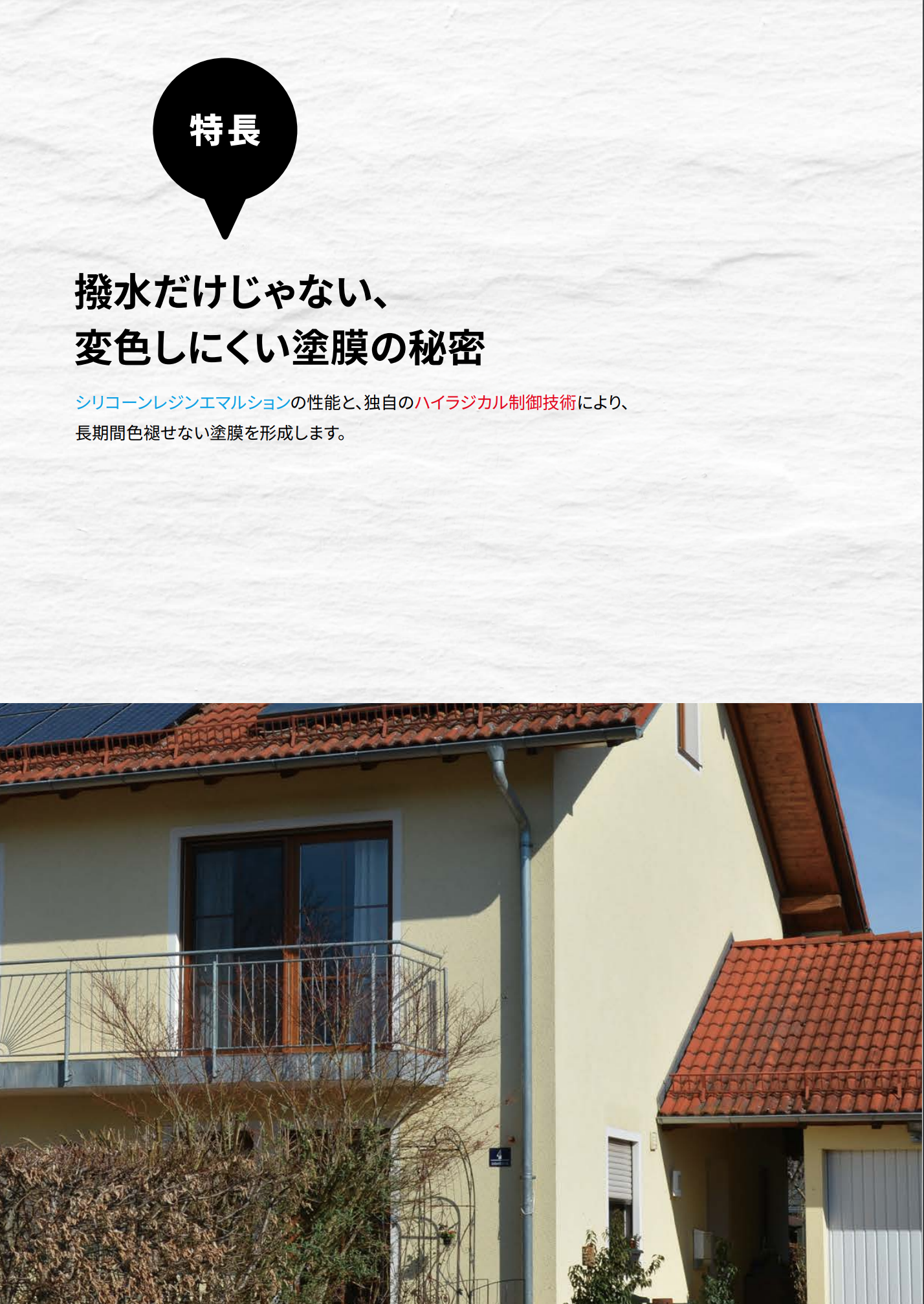 ユーロテックス