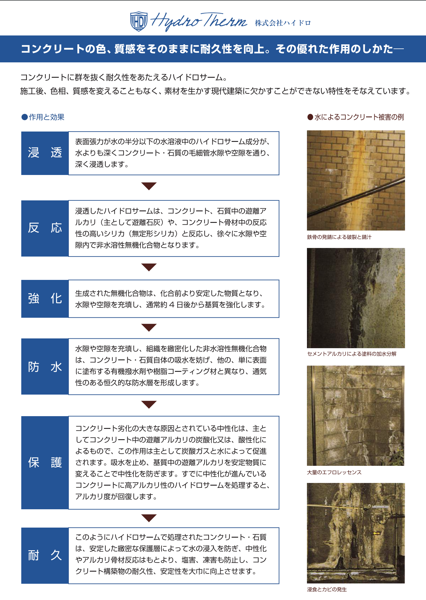 スクリーンショット 2021-07-02 13.21.01