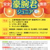 豪腕君ジュニア　　＃アニール炉のヤニ除去　焼き付け炉・乾燥炉のヤニ除去　ホットメルト接着剤剥し　#エココスモ　