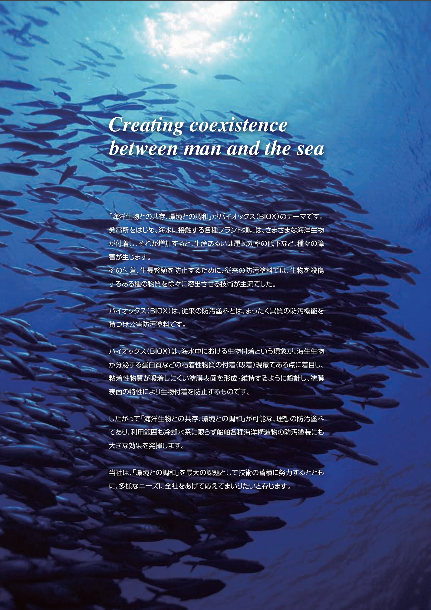 関西ペイント バイオックスL