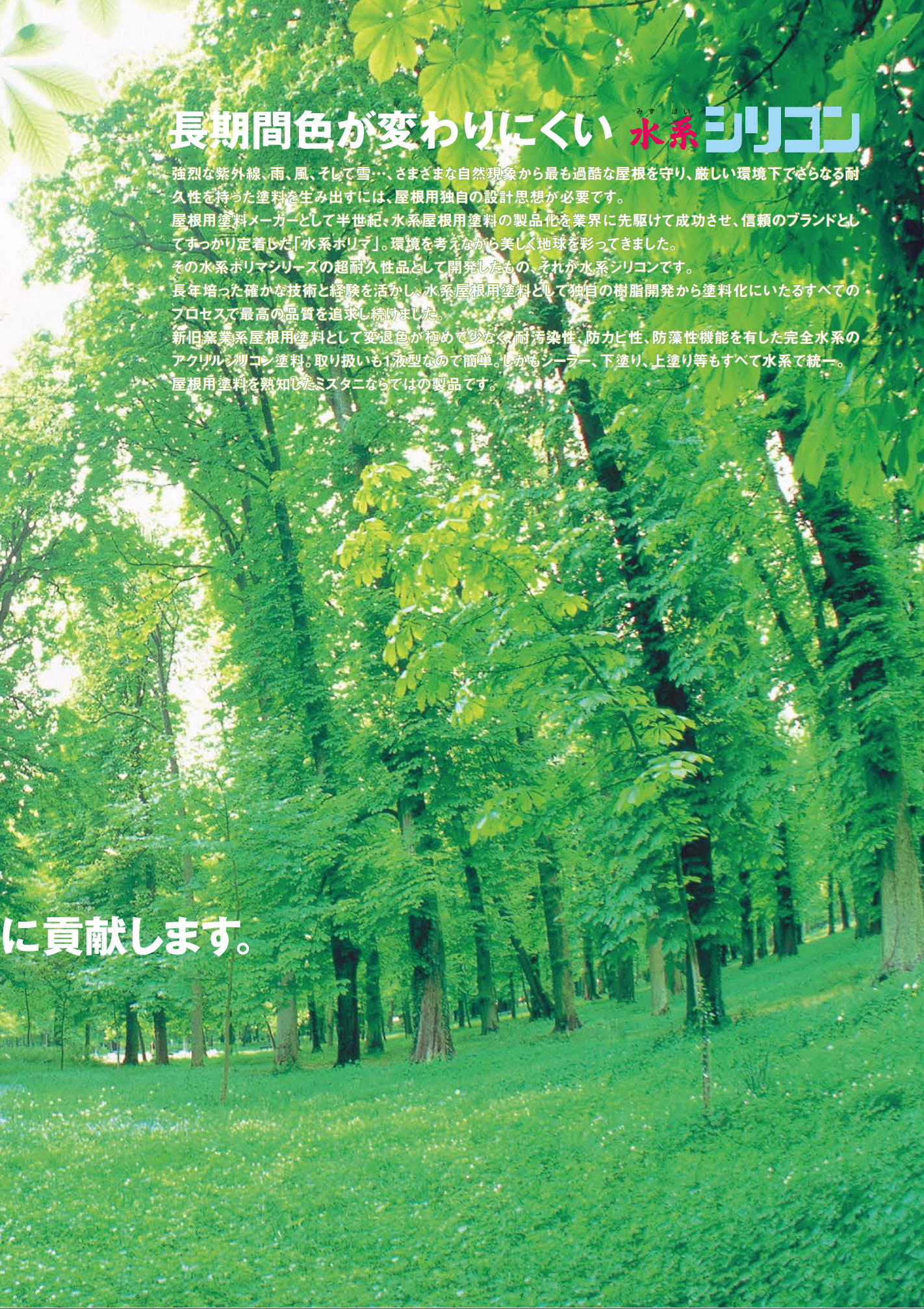水系シリコン