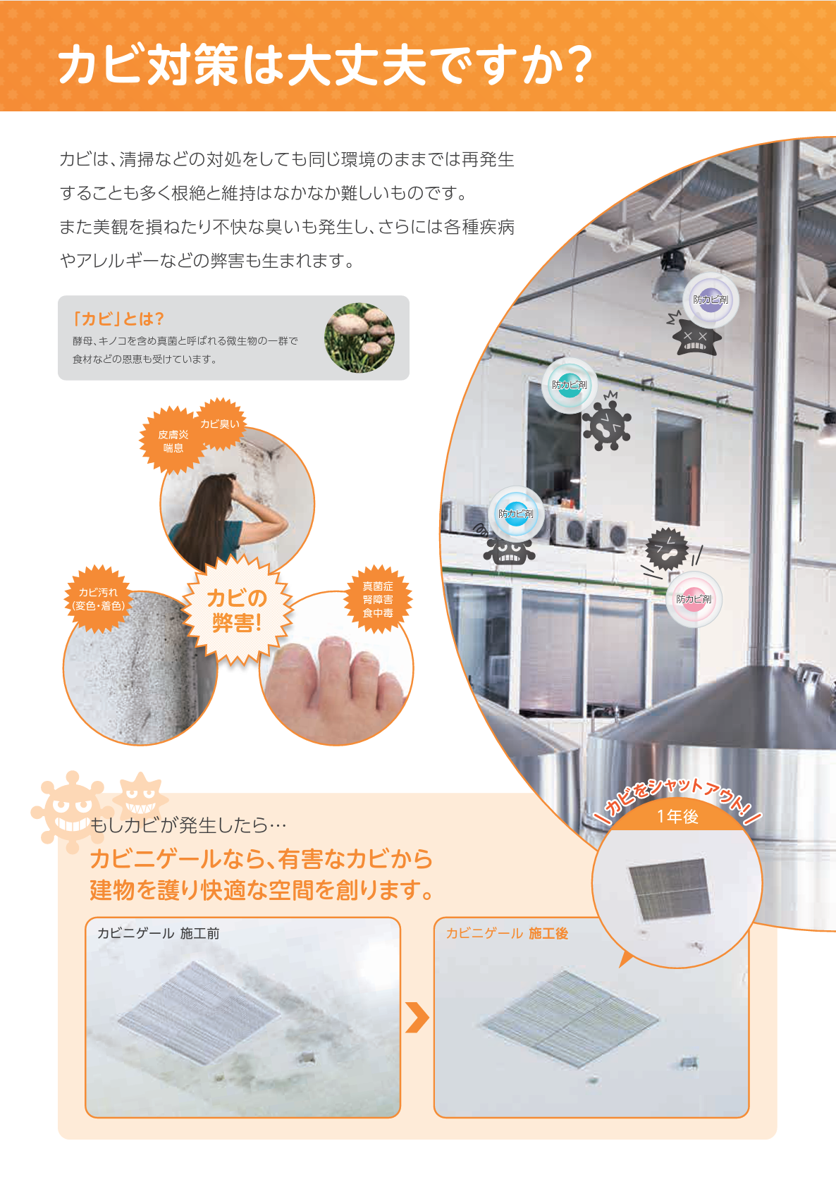 カビ二ゲール