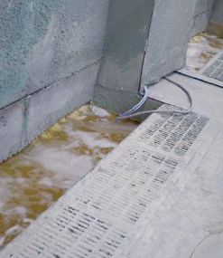 ミタゲンクリアーＬ (1.0KGX12袋）