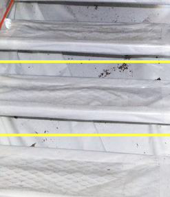 パイオラン難燃テープFR-10-WH(ホワイト) 50ミリX25M