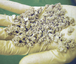 ミタゲンクリアーＬ (1.0KGX12袋）