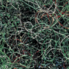 ビニロックフィルター #5050 50X1000X2000
