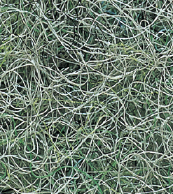 ビニロックフィルター #5525 25X1000X2000
