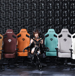 ANDASEAT (KAISER3) エレガントブラック