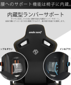 ANDASEAT (KAISER3) エレガントブラック