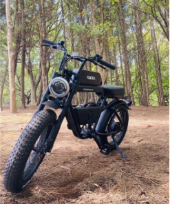 電動ｱｼｽﾄ自転車 TRP-01