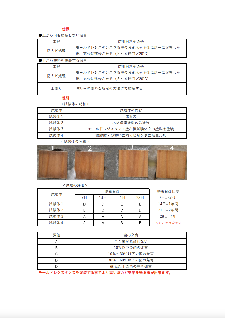 モールドレジスタンス