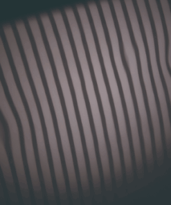 嵯峨ラインプレート縞模様格子模様セットLP-01SG