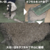 タフモル